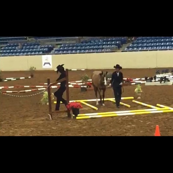 Meet your Posher, Tammy - Picture 8 of 8